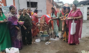 मनेंद्रगढ़ में गोपाष्टमी पर्व श्रद्धा और उत्साह के साथ मनाया गया