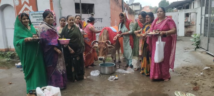 मनेंद्रगढ़ में गोपाष्टमी पर्व श्रद्धा और उत्साह के साथ मनाया गया