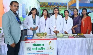 राज्योत्सव में सीताफल से पल्प और आइसक्रीम बनाने का प्रदर्शन 