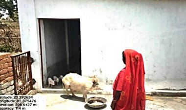 सफलता की कहानी : सुअर पालन से बढ़ी आत्मनिर्भरता की ओर - महराजपुर की ईमलीवती और फुल सिंह की प्रेरक यात्रा