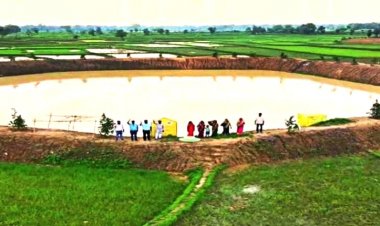 सूखे खेतों से हरियाली तक- अमृत सरोवर ने बदली ग्राम सिरौली की तकदीर