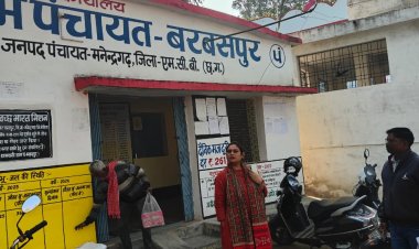 जिला पंचायत सीईओ ने किया ग्राम पंचायतों का निरीक्षण