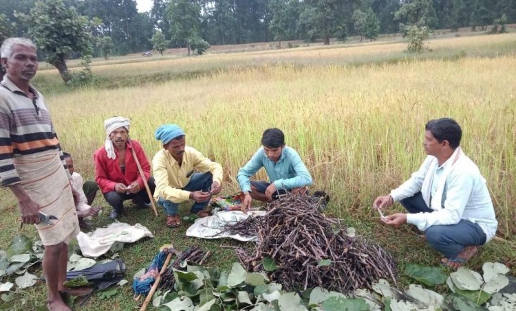 वनमंडल की पहल से पलाश पेड़ बने आजीविका का स्तंभ, 37 गाँवों के 400 किसान जुड़े