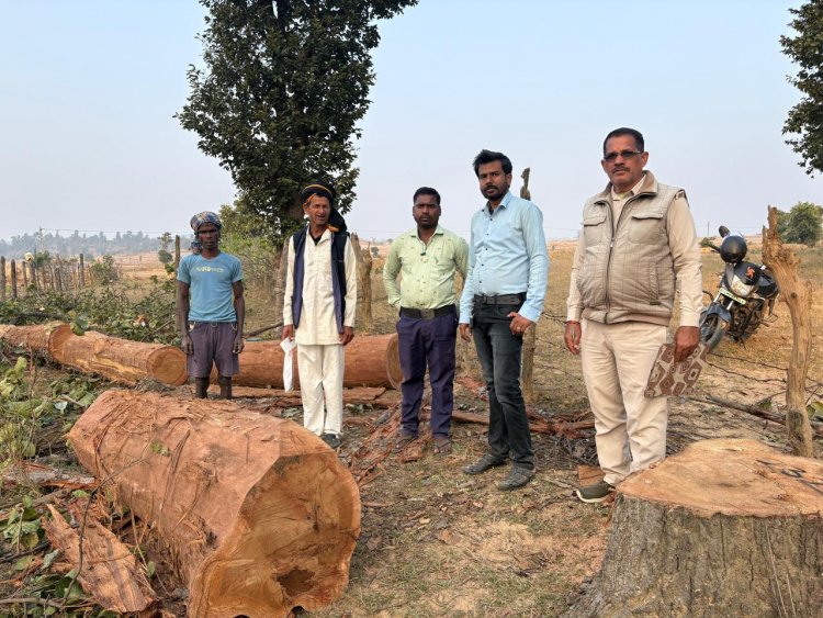 साल की कटाई के कारण सम्हारु पर 1.25 लाख का जुर्माना प्रस्तावित