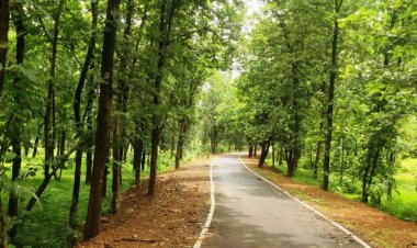 पीएमजीएसवाई से बदला विकास का भूगोल एमसीबी जिले में