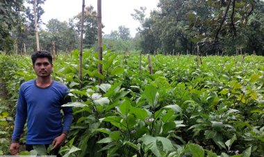 एक एकड़ की खेती से हुई 05 लाख रुपये की आय