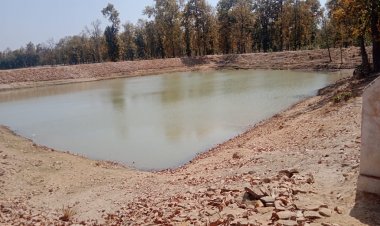 रोजगार से आत्मनिर्भरता की ओर   जिले में मनरेगा से स्थायी आजीविका को मिल रहा नया आधार