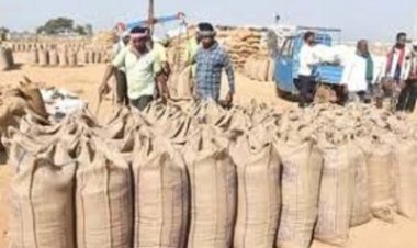 अब तक 17.24 लाख टोकन से 87 लाख टन धान की हो चुकी खरीदी
