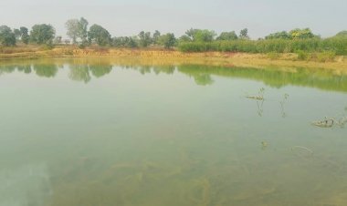 पानी से प्रगति की कहानी : पिपरिया में मिनी तालाब निर्माण बना बदलाव का मजबूत आधार