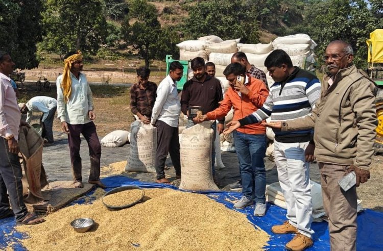 धान की हर बाली में भरोसाः छत्तीसगढ़ की खरीदी व्यवस्था बनी किसानों की उम्मीद