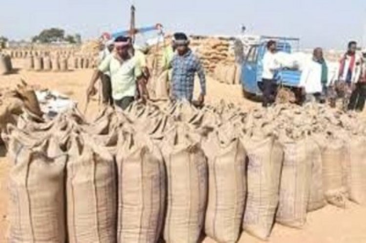 अब तक 17.24 लाख टोकन से 87 लाख टन धान की हो चुकी खरीदी