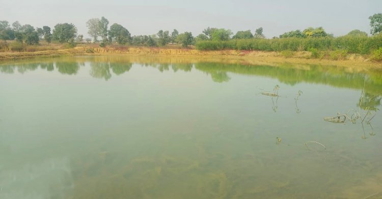 पानी से प्रगति की कहानी : पिपरिया में मिनी तालाब निर्माण बना बदलाव का मजबूत आधार