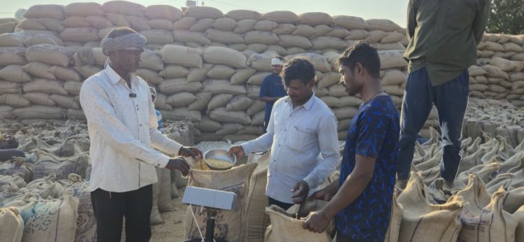 किसान अजय करेंगे भतीजे की शादी, समर्थन मूल्य से बढ़ा भरोसा