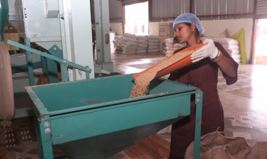 सशक्त मानसिकता से आत्मनिर्भरता की ओर- पोषण निर्माण में अहम भूमिका निभा रही हैं सूरजपुर की महिलाएं