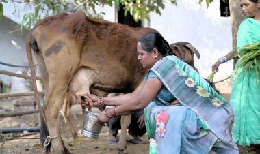 आत्मनिर्भरता की मिसाल: औराटोला बना बालोद का पहला लखपति दीदी ग्राम