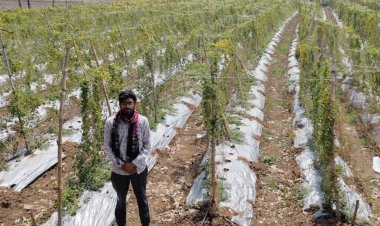 महासमुंद के प्रगतिशील किसान दीपक को हुआ 2.95 लाख रूपए का शुद्ध लाभ