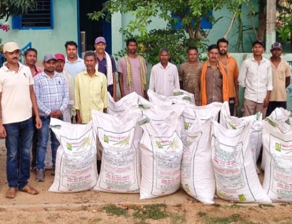 राष्ट्रीय खाद्य तेल मिशन योजना के तहत 25 किसानों को वितरित किए गए गुणवत्तायुक्त बीज, आधुनिक खेती की तकनीकों का भी दिया गया प्रशिक्षण