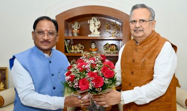 राजनांदगांव में प्रस्तावित गैस आधारित फर्टिलाइजर प्लांट से औद्योगिक विकास और रोजगार को मिलेगी नई गति 