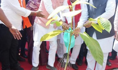 एक पेड़ माँ के नाम’ अभियान से प्रकृति संरक्षण और मातृ सम्मान का संदेश