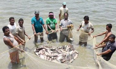 बदली किसानों की किस्मत प्रधानमंत्री मत्स्य संपदा योजना से