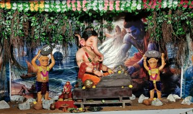 दुर्गा नगर पंडरी की श्री हनुमान गणेशोत्सव समिति ने सजाई आकर्षक गणेश प्रतिमा, दर्शन के लिए उमड़ रहे श्रद्धालु