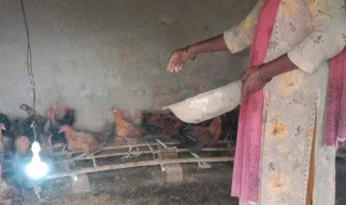 मुर्गी पालन ने बदली रजनी की राह, आत्मनिर्भरता की ओर बढ़ाया कदम