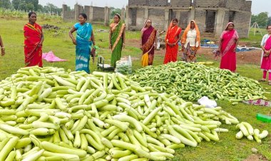अतिक्रमण मुक्त 25 एकड़ बंजर भूमि पर उगी समृद्धि