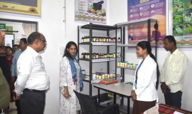 एकलव्य विद्यालय से स्वास्थ्य केंद्र तक कलेक्टर ने परखी व्यवस्थाएं