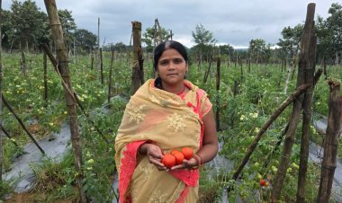 सेवा की कहानी: पति के निधन के बाद खेती बनी परिवार का सहारा, बिहान से जुड़कर आत्मनिर्भर बनीं उर्मिला