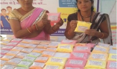 लखपति दीदी डोंगरगढ़ की दिनेश्वरी सोरी ने 'बिहान' योजना से बदली तकदीर