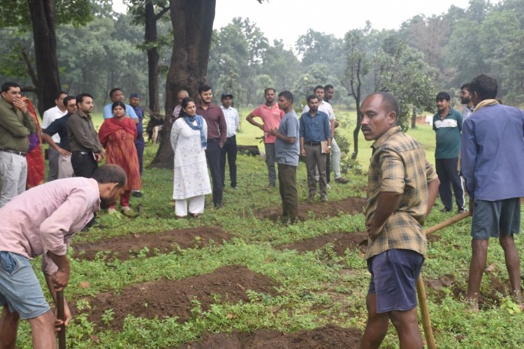 सेवा संकल्प अभियान: कंटूर ट्रेंच से जल संरक्षण को मिलेगी नई मजबूती, कलेक्टर ने दिए सुरक्षा के साथ गुणवत्तापूर्ण कार्य के निर्देश