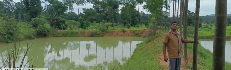 नारायणपुर के ग्रामीण अंचल में आजीविका की नई क्रांति